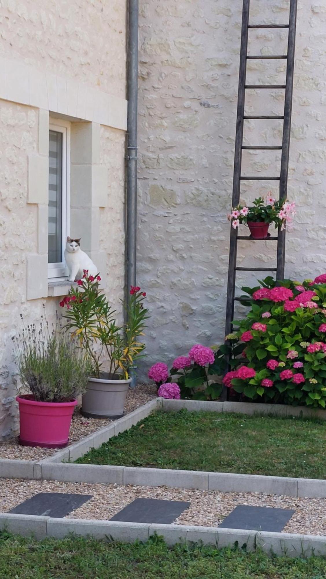 Gite Amanala Poitou Saint-Genest-d'Ambiere Экстерьер фото